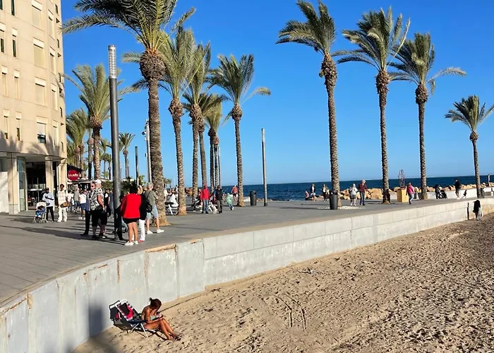 Flat 150m Away From Apartment Torrevieja